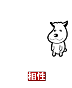 A�^�j���̑������f