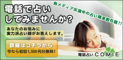 �d�b�肢 COMIE